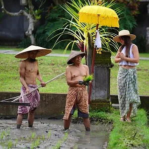 Umae Ubud